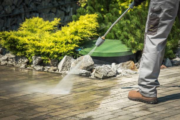 Best Fence Cleaning  in Edison, GA